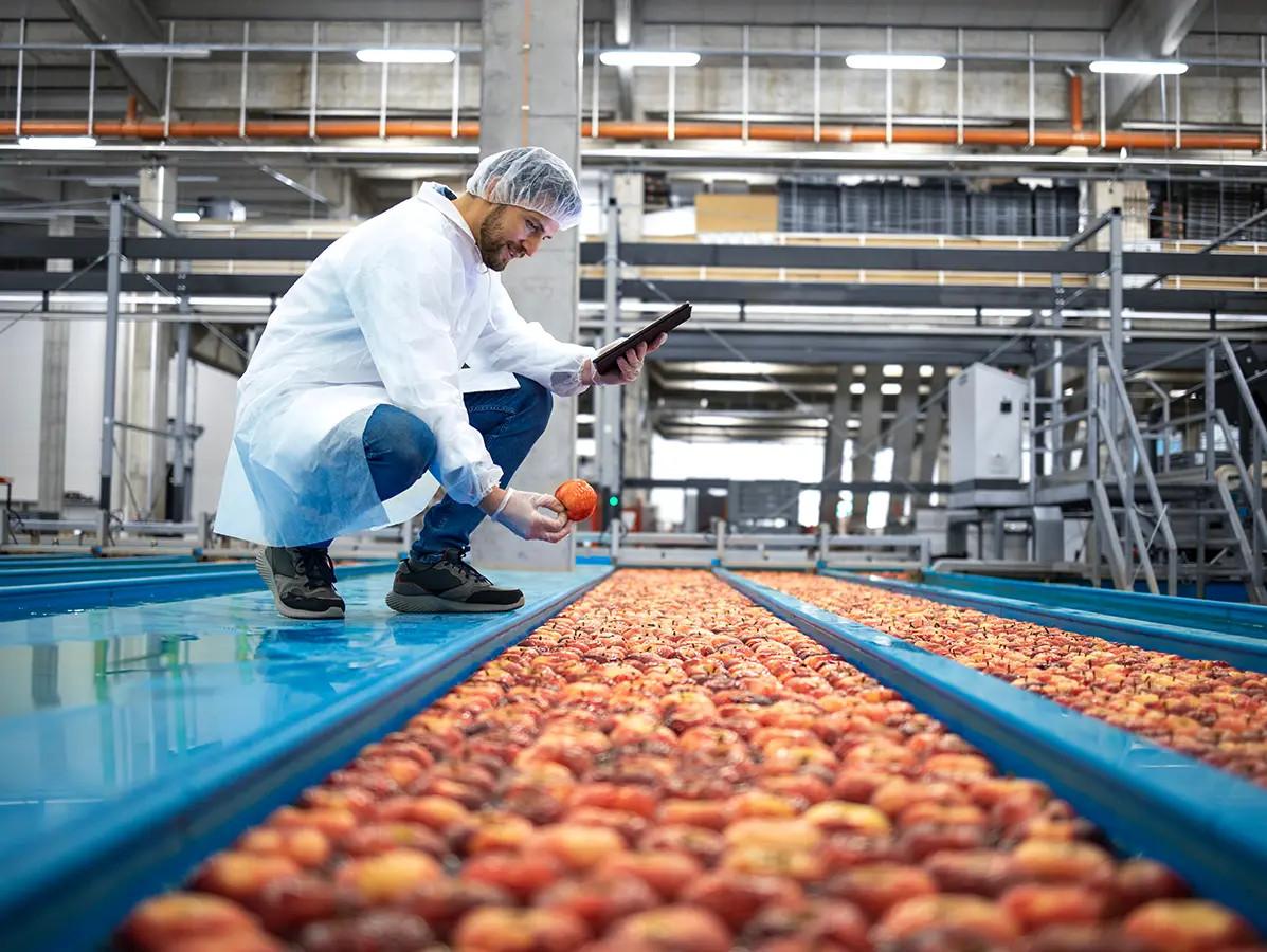 Tailored Fruit & Vegetable Programs for Modern Businesses